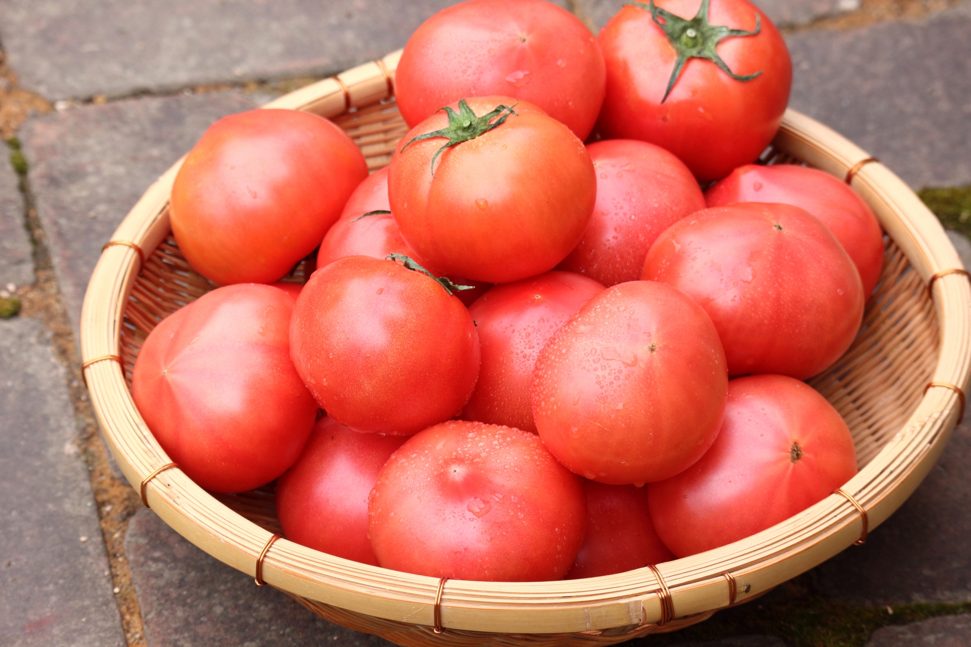 野菜辞典トマト